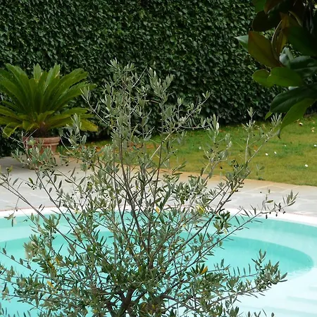 Dei Bosconi Otel Fiesole